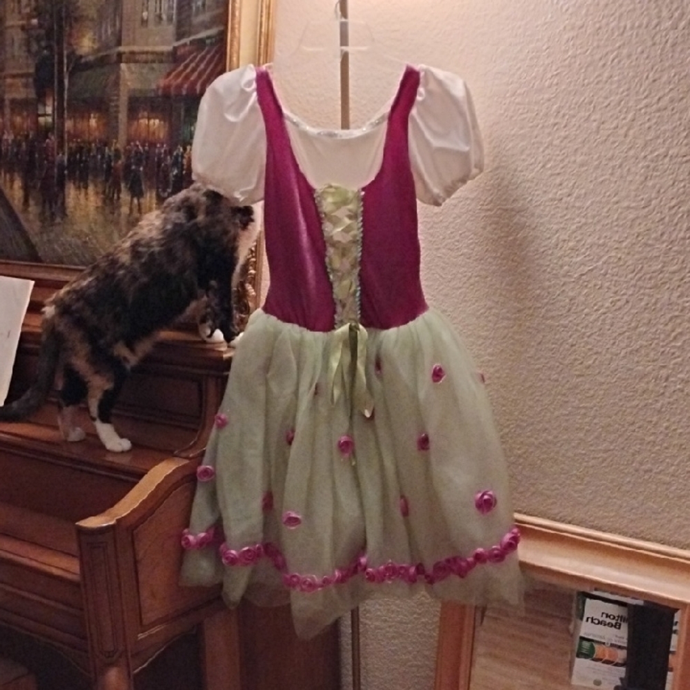 Kids Sound Of Music Swiss Costume Dress with Pink and Green Accents